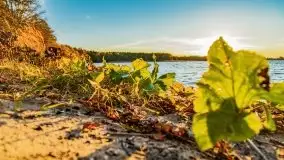 Jesienny Dargin pełen urokliwych kolorów - zdjęcie 9