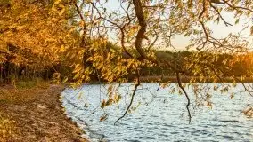 Jesienny Dargin pełen urokliwych kolorów - zdjęcie 32