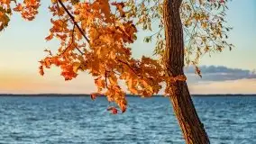 Jesienny Dargin pełen urokliwych kolorów - zdjęcie 38