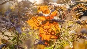 Mazurska złota jesień w Giżycku i okolicach - zdjęcie 22