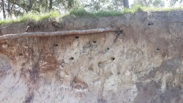 Szeroki Ostrów pełen śmieci - zdjęcie 6