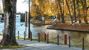 Kanał Łuczański w barwach jesieni, październik 2021 r. - zdjęcie 24