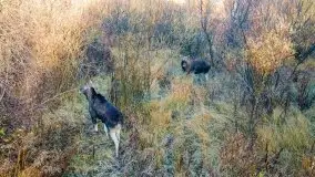 Wschód słońca nad jeziorem Kruklin, październik 2021 r. - zdjęcie 21