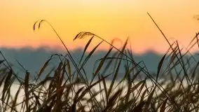 Wschód słońca nad jeziorem Kruklin, październik 2021 r. - zdjęcie 15