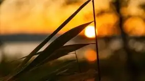 Wschód słońca nad jeziorem Kruklin, październik 2021 r. - zdjęcie 19