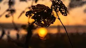 Wschód słońca nad jeziorem Kruklin, październik 2021 r. - zdjęcie 87