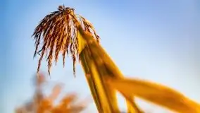 Wschód słońca nad jeziorem Kruklin, październik 2021 r. - zdjęcie 53