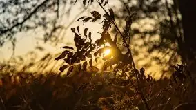 Wschód słońca nad jeziorem Kruklin, październik 2021 r. - zdjęcie 79