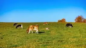 Wschód słońca nad jeziorem Kruklin, październik 2021 r. - zdjęcie 76