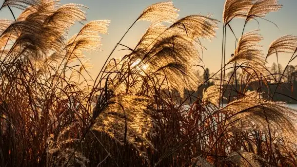Zachód słońca w Rynie nad jeziorem Ryńskim, październik 2021 r. - zdjęcie 7