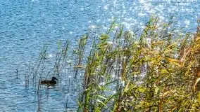 Jesienna Stranda i jezioro Kisajno - zdjęcie 6