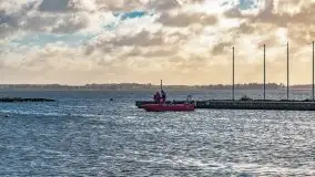 Fotorelacja z sprzątania dna w Ekomarinie Giżycko - zdjęcie 71