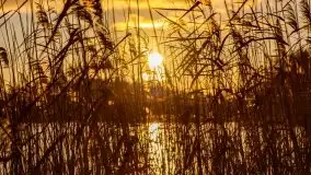 Zachód słońca nad jeziorem Tajty, widoczny z Pięknej Góry - zdjęcie 24