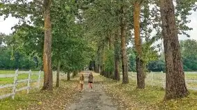 Tata na Mazury, czyli ojcowe z dziećmi w 2021 roku - zdjęcie 7