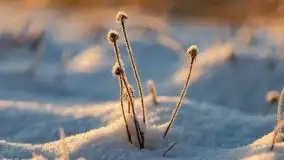 Grudniowy wschód słońca nad jeziorem Niegocin - zdjęcie 53