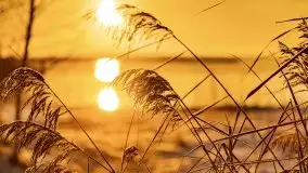 Grudniowy wschód słońca nad jeziorem Niegocin - zdjęcie 55