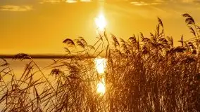 Grudniowy wschód słońca nad jeziorem Niegocin - zdjęcie 57