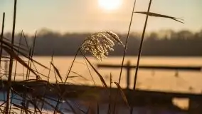 Grudniowy, zimowy port w Sztynorcie - zdjęcie 25