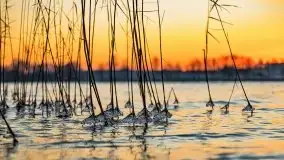 Zachód słońca nad jeziorem Święcajty, grudzień 2021 r. - zdjęcie 17