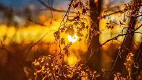 Grudniowy zachód słońca nad jeziorem Kisajno 2021 - zdjęcie 3