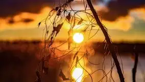 Grudniowy zachód słońca nad jeziorem Kisajno 2021 - zdjęcie 6