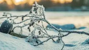 Zimowy wschód i południe w Strandzie nad jeziorem Kisajno - zdjęcie 32