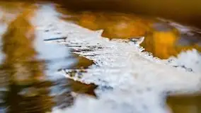 Zimowy las nad jeziorem Mulik, styczeń 2021 - zdjęcie 23