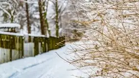 Księżycowy Dworek i jezioro Siercze w okowach zimy - zdjęcie 38