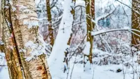 Księżycowy Dworek i jezioro Siercze w okowach zimy - zdjęcie 27