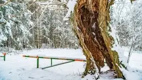 Księżycowy Dworek i jezioro Siercze w okowach zimy - zdjęcie 34