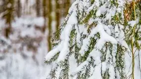 Księżycowy Dworek i jezioro Siercze w okowach zimy - zdjęcie 39