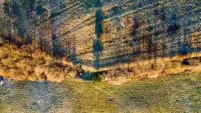 Wschód słońca nad jeziorami Boczne i Niegocin, styczeń 2022 r. - zdjęcie 31