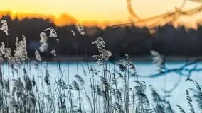 Wschód słońca nad jeziorami Boczne i Niegocin, styczeń 2022 r. - zdjęcie 8