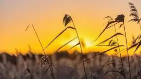 Wschód słońca nad jeziorami Boczne i Niegocin, styczeń 2022 r. - zdjęcie 56