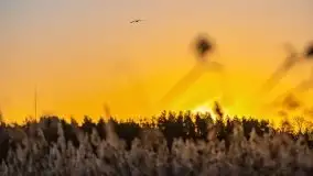 Wschód słońca nad jeziorami Boczne i Niegocin, styczeń 2022 r. - zdjęcie 14