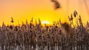 Wschód słońca nad jeziorami Boczne i Niegocin, styczeń 2022 r. - zdjęcie 53