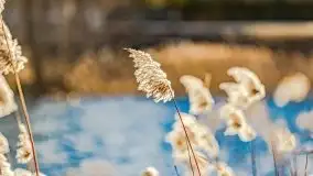 Słoneczny styczeń 2022 nad jeziorami Świętajno i Dworackie - zdjęcie 18