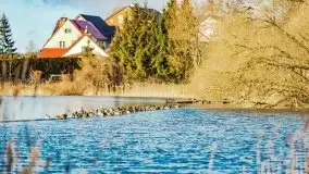 Słoneczny styczeń 2022 nad jeziorami Świętajno i Dworackie - zdjęcie 14