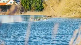 Słoneczny styczeń 2022 nad jeziorami Świętajno i Dworackie - zdjęcie 6