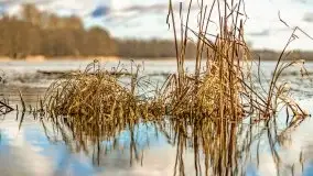 Słoneczny styczeń 2022 nad jeziorami Świętajno i Dworackie - zdjęcie 25