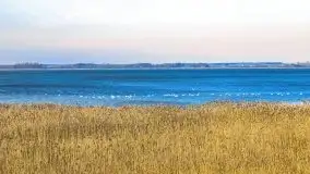 Wieża widokowa nad jeziorem Łuknajno - zdjęcie 9