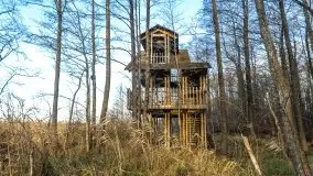 Wieża widokowa nad jeziorem Łuknajno - zdjęcie 19