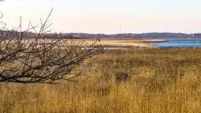 Wieża widokowa nad jeziorem Łuknajno - zdjęcie 5