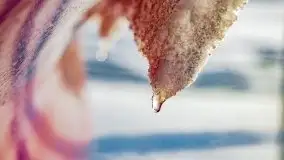 Zimowa Stranda i jezioro Kisajno, styczeń 2022 r. - zdjęcie 28