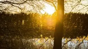 Zachód słońca przy wyspie Wydmińskiej, marzec 2021 r. - zdjęcie 25