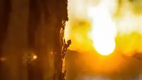 Zachód słońca przy wyspie Wydmińskiej, marzec 2021 r. - zdjęcie 36