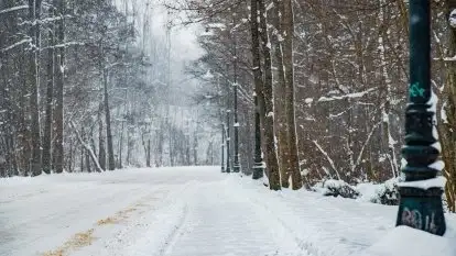 Zimowe widoki, pomiędzy Giżyckiem a Wilkasami