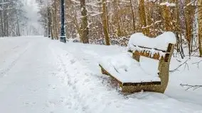 Zimowe widoki, pomiędzy Giżyckiem a Wilkasami - zdjęcie 3