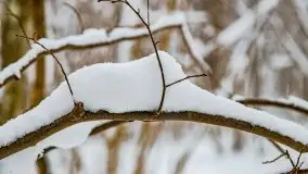 Zimowe widoki, pomiędzy Giżyckiem a Wilkasami - zdjęcie 12