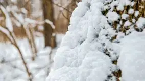 Zimowe widoki, pomiędzy Giżyckiem a Wilkasami - zdjęcie 30